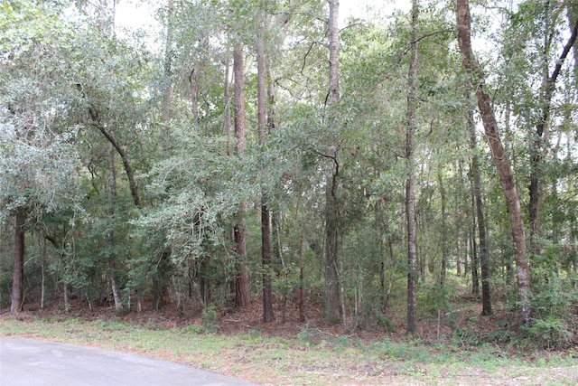 Listing photo 3 for TBD Octavian Ct, New Caney TX 77357