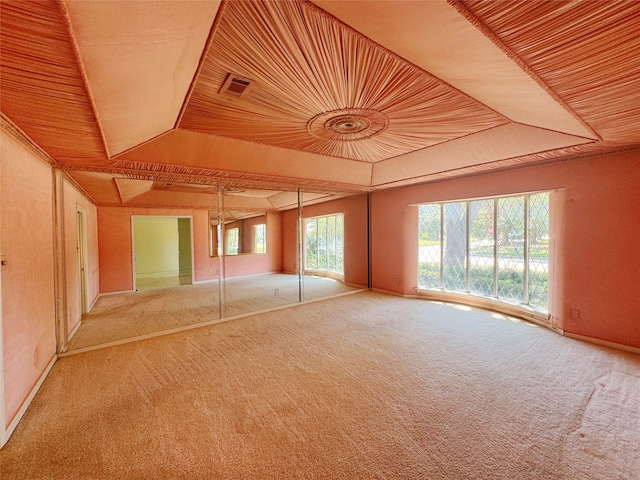 carpeted spare room with a raised ceiling