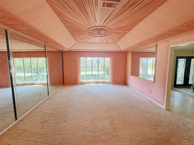 unfurnished room featuring a raised ceiling and carpet floors