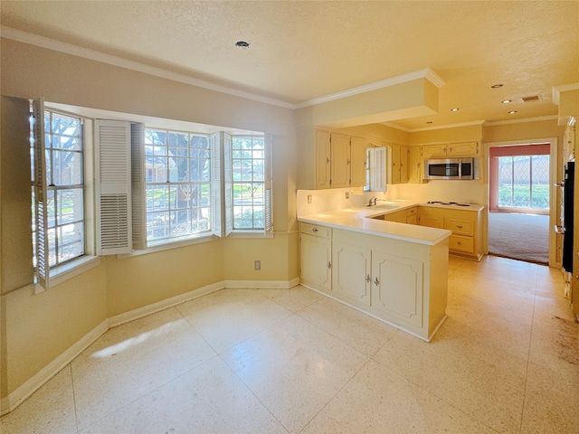 kitchen featuring ornamental molding, a textured ceiling, and light brown cabinets