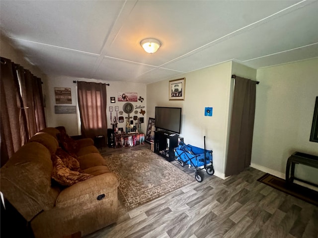 living room with wood-type flooring