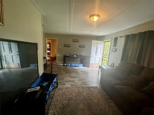 living room featuring wood-type flooring