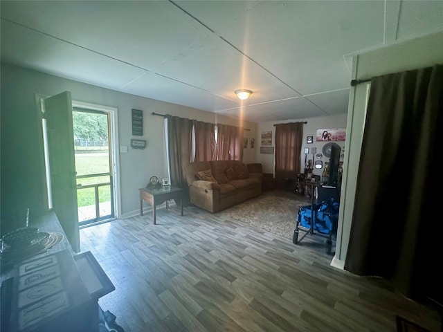 living area with wood-type flooring