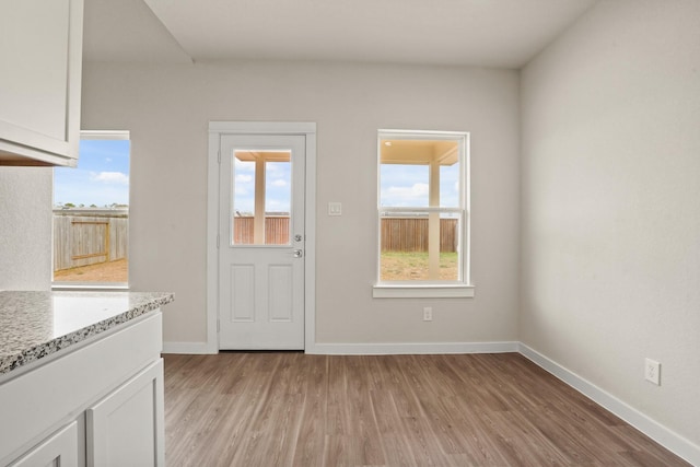 entryway featuring plenty of natural light and light hardwood / wood-style floors