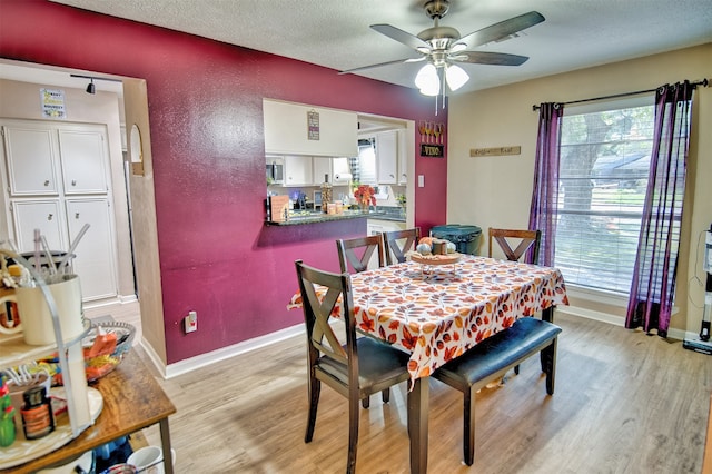 dining area featuring ceiling fan, a textured ceiling, and light hardwood / wood-style floors