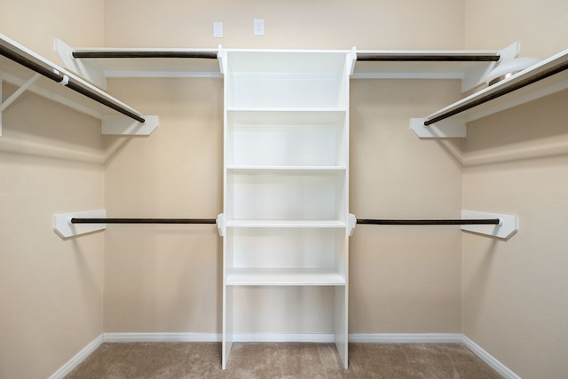 spacious closet featuring carpet flooring