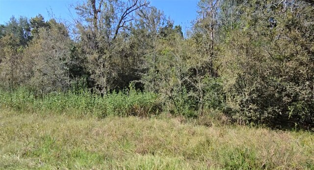 10211 Essex, Conroe, TX 77302 - photo 9