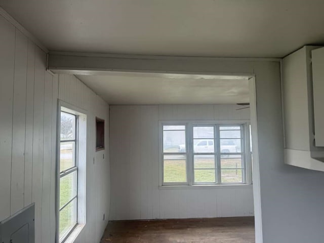 interior space featuring a healthy amount of sunlight, wood-type flooring, and wooden walls