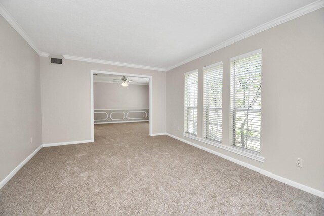 interior space featuring ornamental molding, multiple windows, carpet floors, and a closet