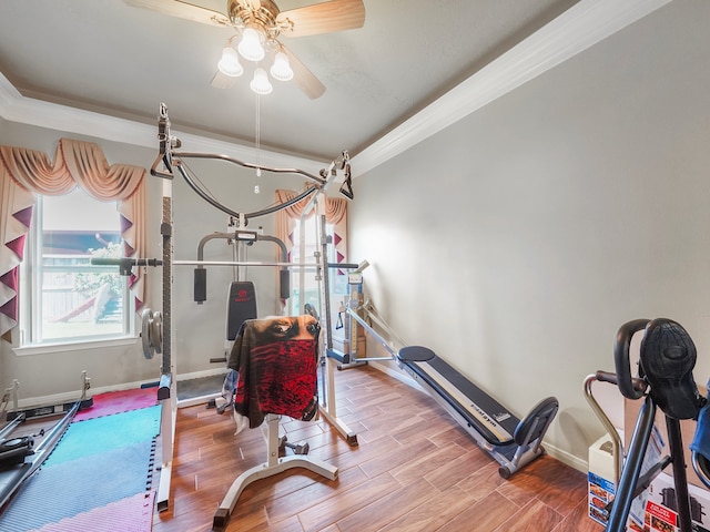 exercise area featuring ornamental molding, hardwood / wood-style floors, and ceiling fan