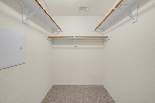 spacious closet featuring carpet flooring