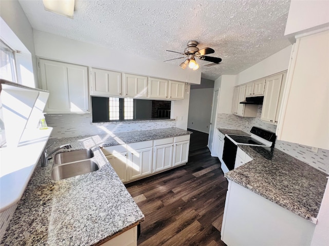 kitchen with dark hardwood / wood-style floors, sink, ceiling fan, electric stove, and white cabinets