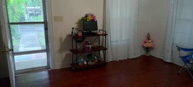 interior space with dark wood-type flooring