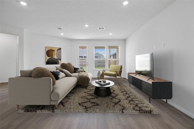 living room featuring wood-type flooring