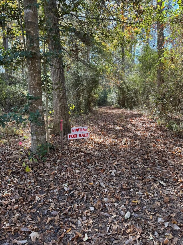 TBD County Road 319, Cleveland, TX 77327 - photo 7
