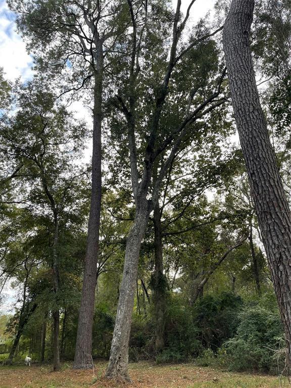 TBD County Road 319, Cleveland, TX 77327 - photo 10