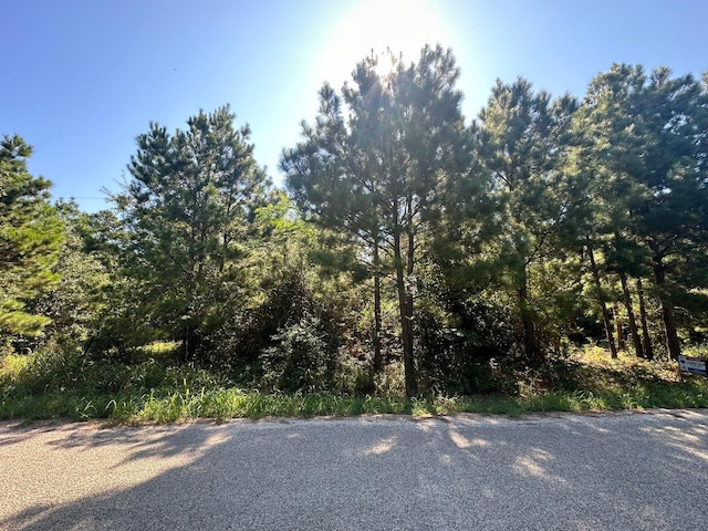 0 Alum Creek Rd, Smithville, TX 78957