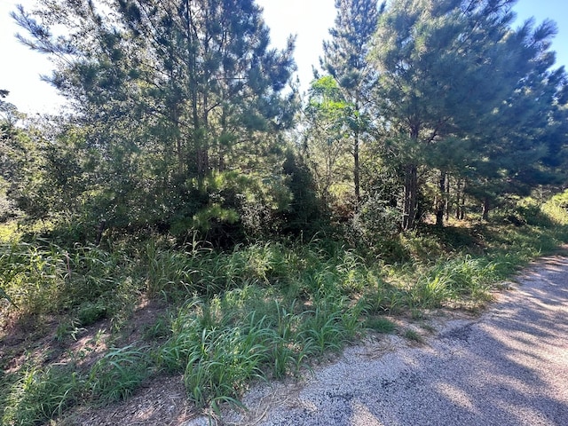 0 Alum Creek Rd, Smithville, TX 78957