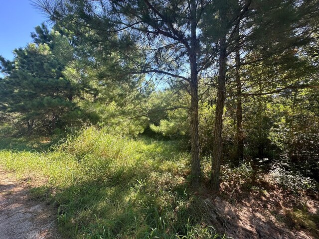 0 Alum Creek Rd, Smithville, TX 78957