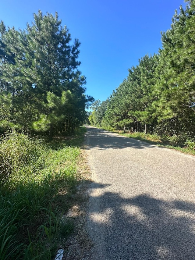 0 Alum Creek Rd, Smithville, TX 78957