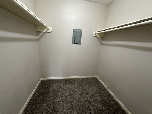 walk in closet with electric panel and carpet floors