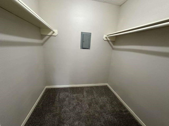 11807 S Youngwood Ln, Houston, TX 77043 - spacious closet with carpet floors and electric panel