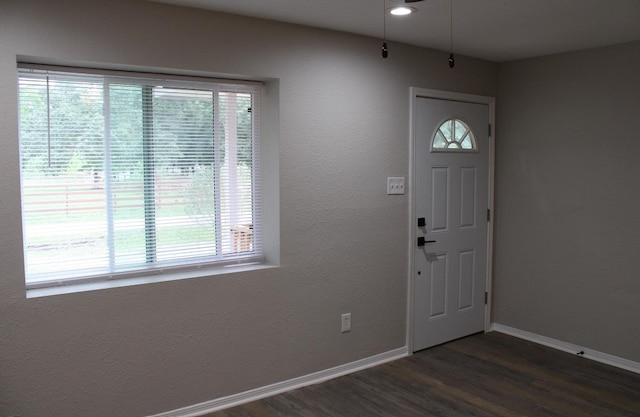 foyer with a wealth of natural light and dark hardwood / wood-style floors