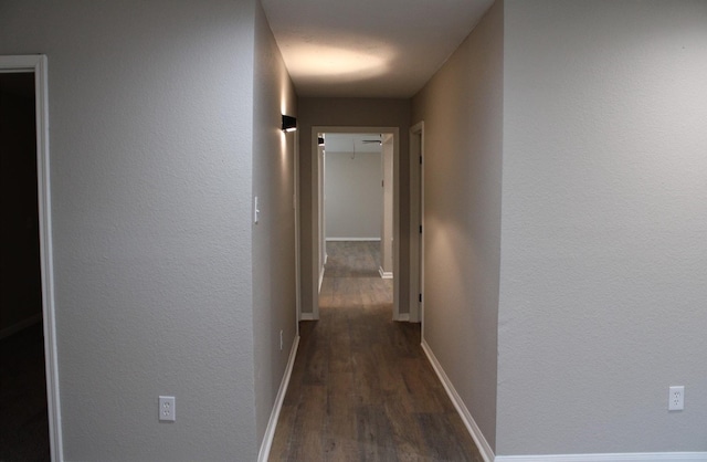 hall featuring dark wood-type flooring