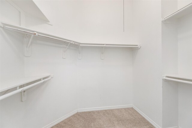 walk in closet featuring light colored carpet