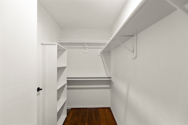 walk in closet featuring dark wood-type flooring