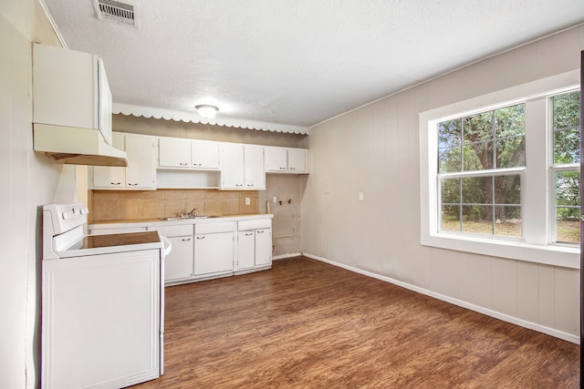 kitchen with a textured ceiling, dark hardwood / wood-style floors, washer / dryer, sink, and white cabinets