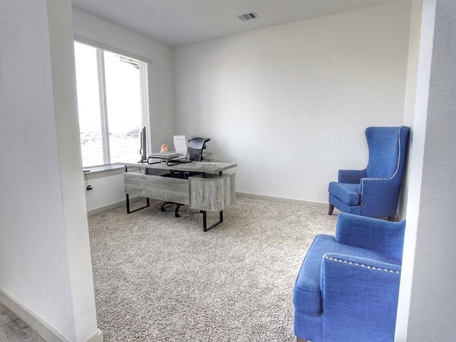 carpeted home office featuring plenty of natural light