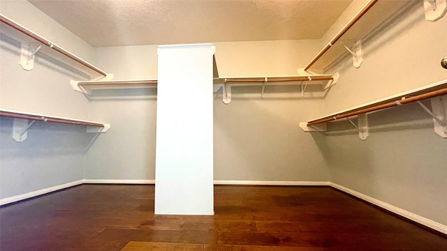 spacious closet featuring dark wood-type flooring