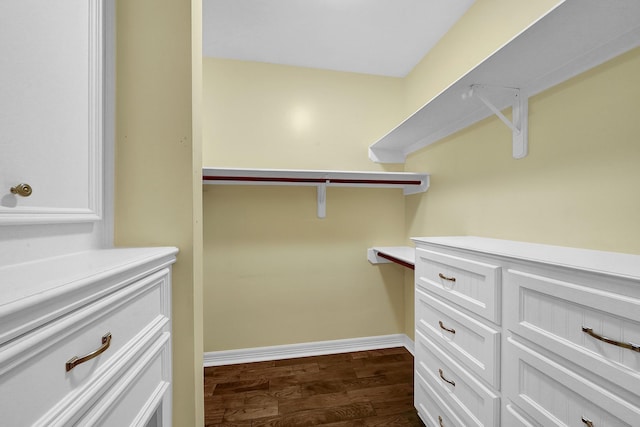 spacious closet featuring dark hardwood / wood-style flooring