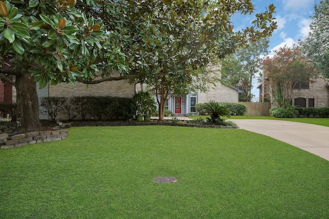 obstructed view of property with a front lawn