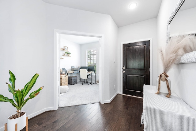 foyer featuring dark wood-type flooring