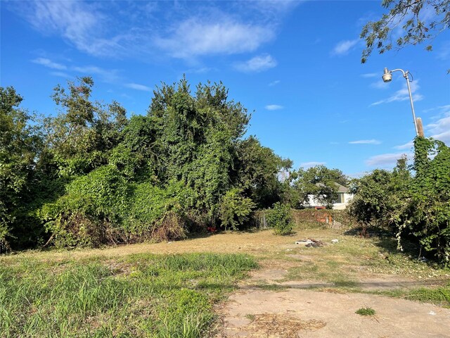 0 Harvard St, Houston, TX 77018