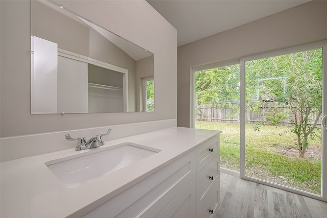 bathroom with wood-type flooring and vanity