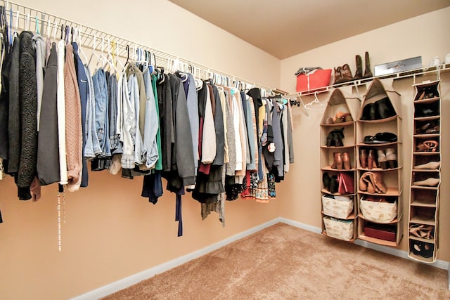 spacious closet featuring carpet flooring