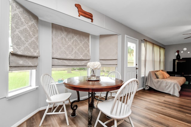 dining space with hardwood / wood-style flooring