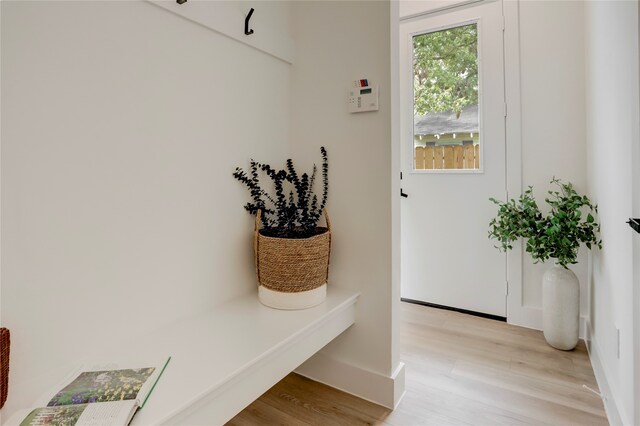 mudroom featuring light wood-type flooring