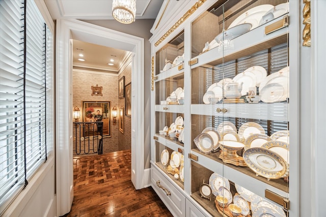 corridor with an inviting chandelier, a healthy amount of sunlight, ornamental molding, and dark hardwood / wood-style flooring