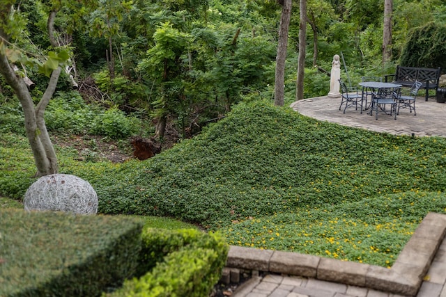 view of yard featuring a patio area