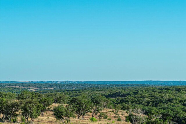32 Buckskin Path, Fredericksburg, TX 78624 - photo 6