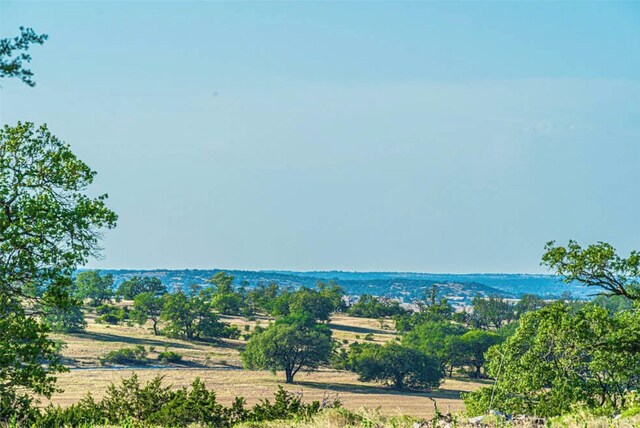 32 Buckskin Path, Fredericksburg, TX 78624 - photo 9