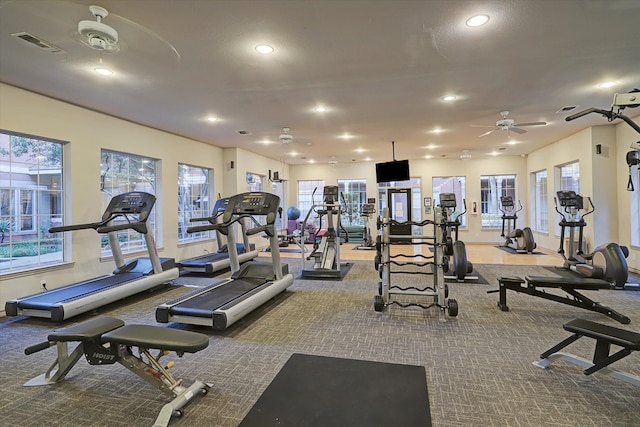 workout area featuring carpet flooring, a wealth of natural light, and ceiling fan