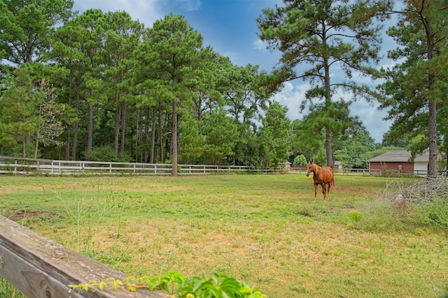 view of yard with a rural view