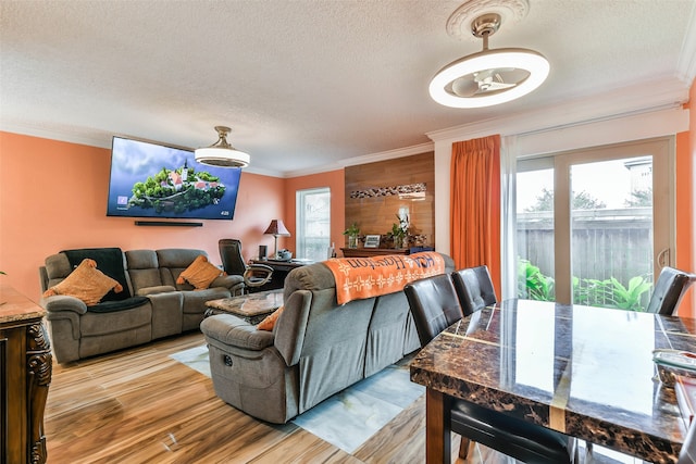 living room featuring hardwood / wood-style floors, ornamental molding, a textured ceiling, and a healthy amount of sunlight