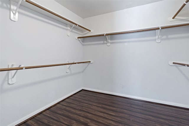 walk in closet featuring dark hardwood / wood-style flooring