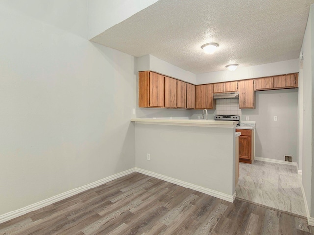 kitchen with a textured ceiling, sink, decorative backsplash, electric stove, and light wood-type flooring